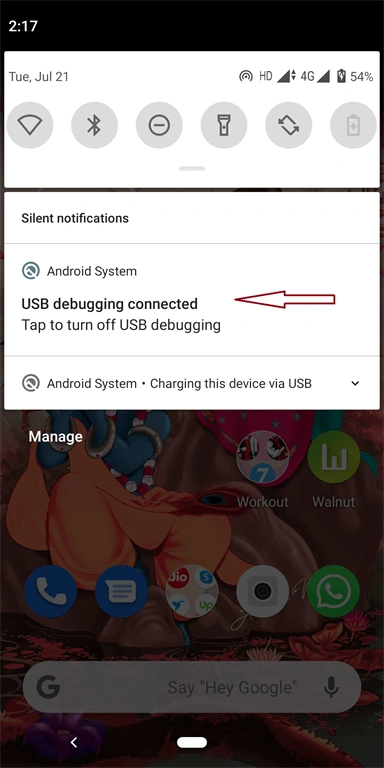 Creating A New Flutter Project And Setup Physical Device And Emulator
