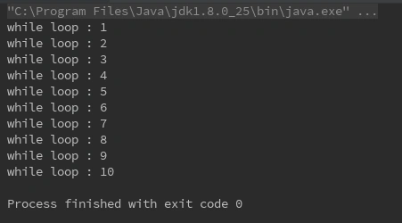 while-loop-example-program