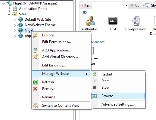 Manage website