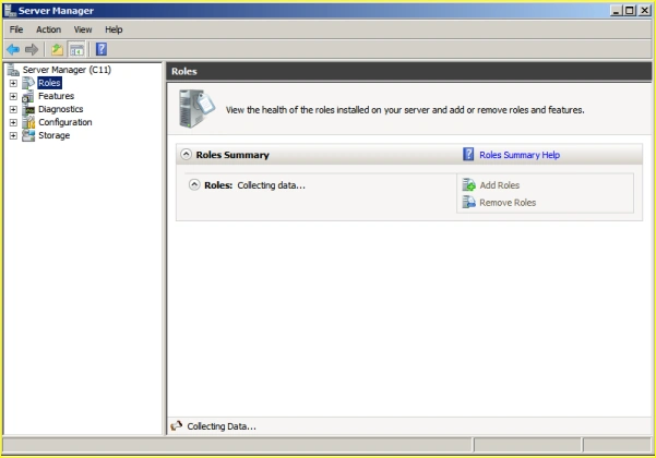 Server Manager