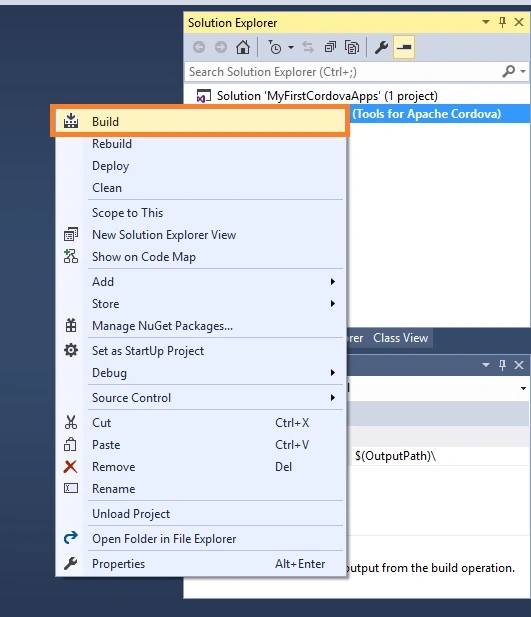 Visual studio
