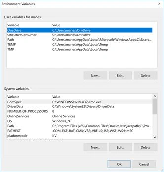 Windows 10 Environment Variable