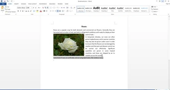 adding a bookmark
