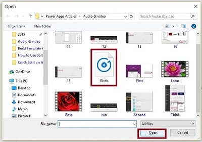  Audio File