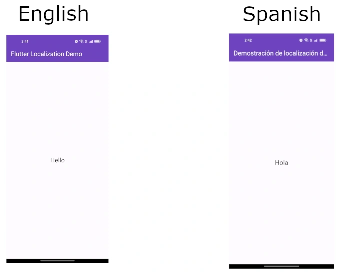 Multi-Language Support to Flutter Apps