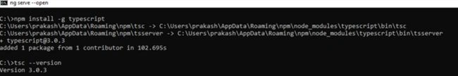 Typescript Installation