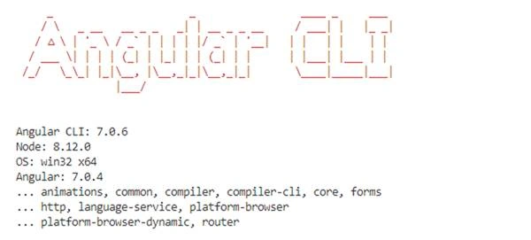 Angular 7 Project With ASP.NET CORE APIS (Gym Project)