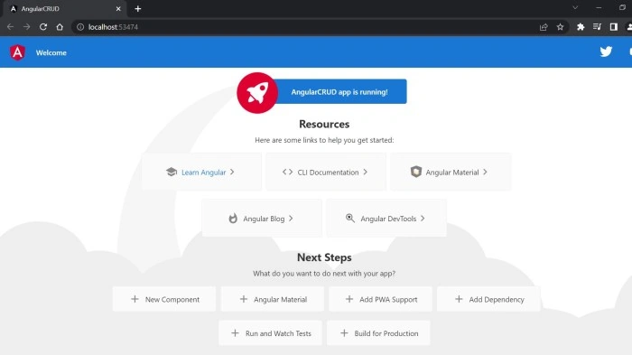 Angular in Browser