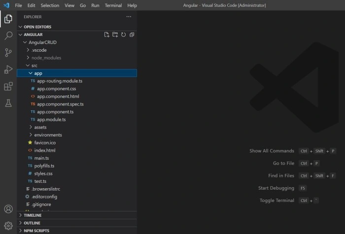 app in VS Code