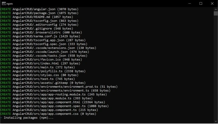 Angular Project install