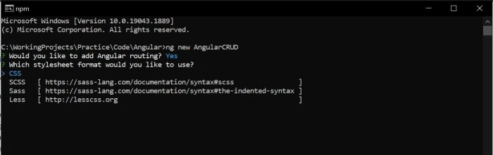 CSS