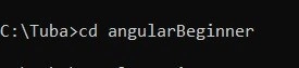 Angular For Beginners