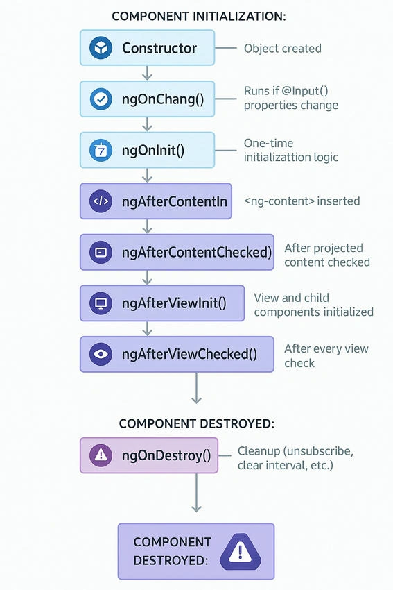 Angular Lifecycle