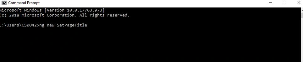 PageTitle In Angular