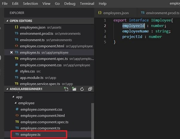 Angular Interfaces