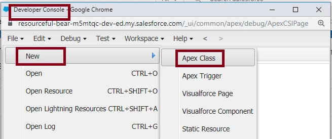 Apex Data Types In SalesForce