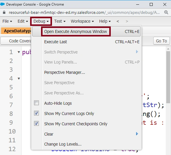 Apex Data Types In SalesForce