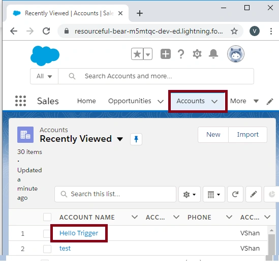 Apex Triggers In SalesForce