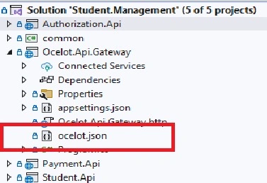 Ocelot.json