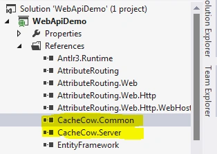 CacheCow.Common
