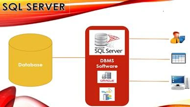 Database