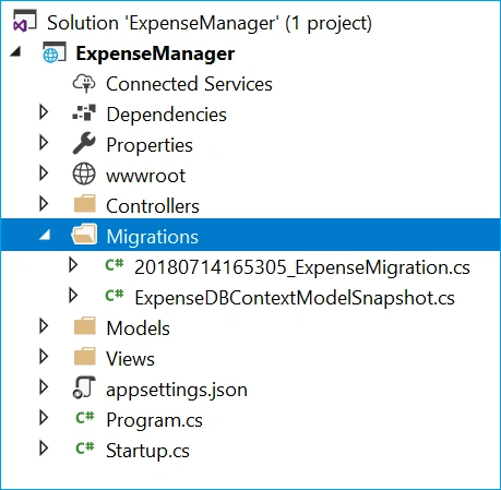 Expense manager