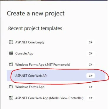 Asp.Net Core Web API project