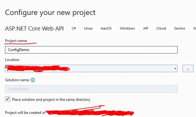 Asp.Net Core Web API project