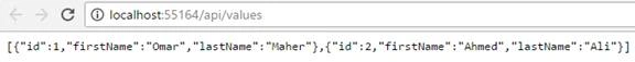 Asp.Net Core Web API