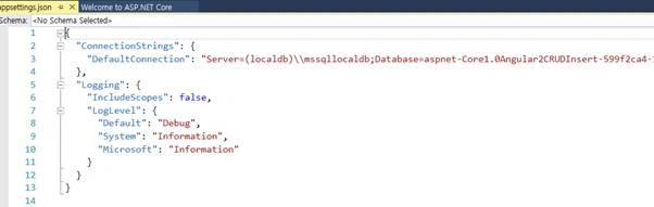 appsettings.json