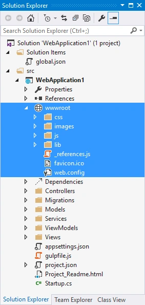 wwwroot Folder