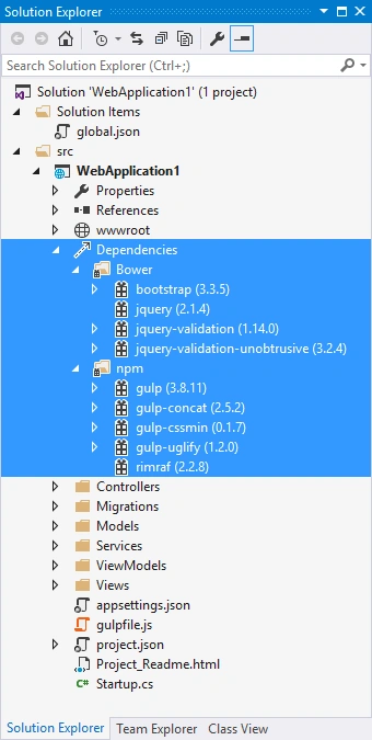 NPM