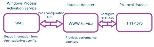 ASP.NET