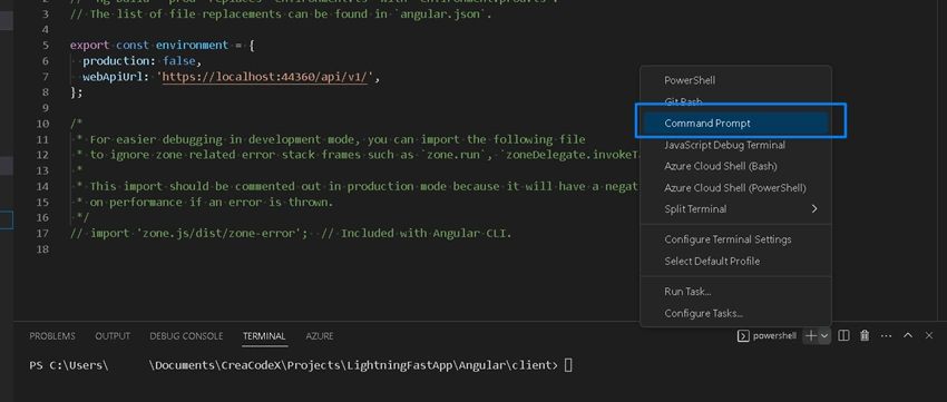 Asp.Net Web Api with Angular Front End Code Generation