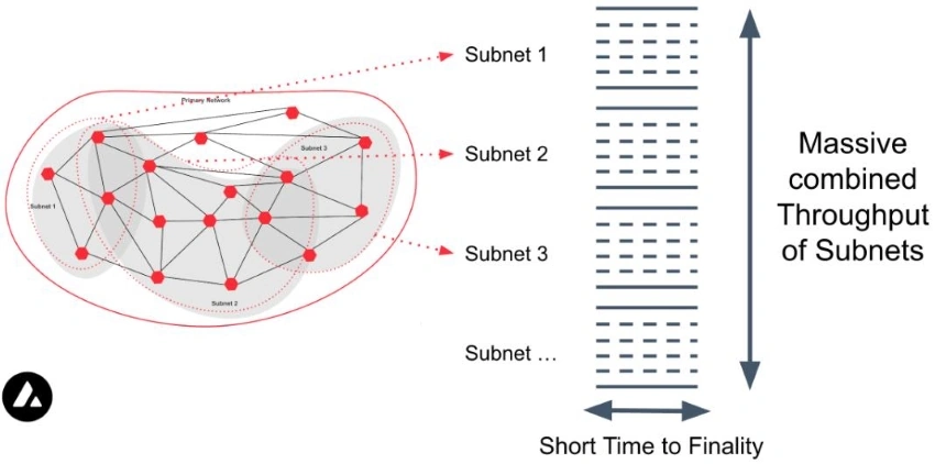 Subnet
