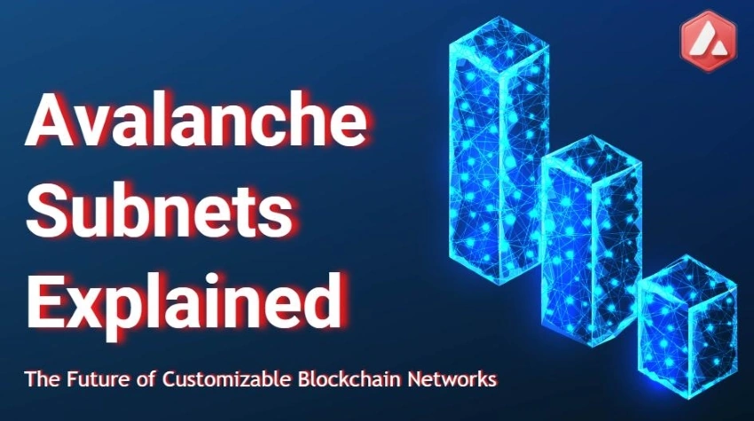 Avalanche Subnets