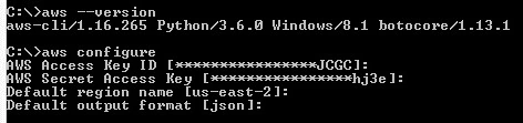 Output format