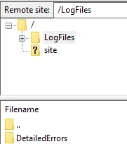 Detailed Errors