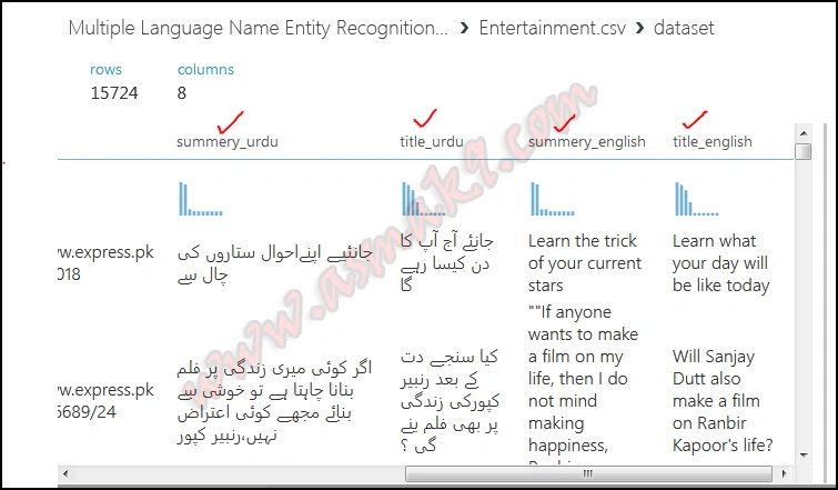 Azure Machine Learning Studio - Multiple Language Named Entity Recognition (NER) Text Analysis