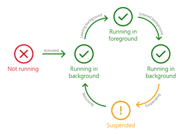 life cycle