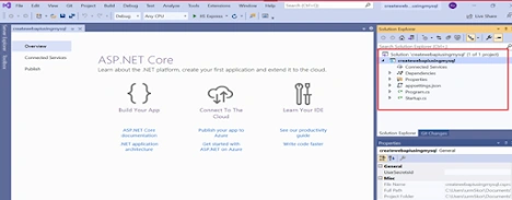Basic view of ASP.NET Core