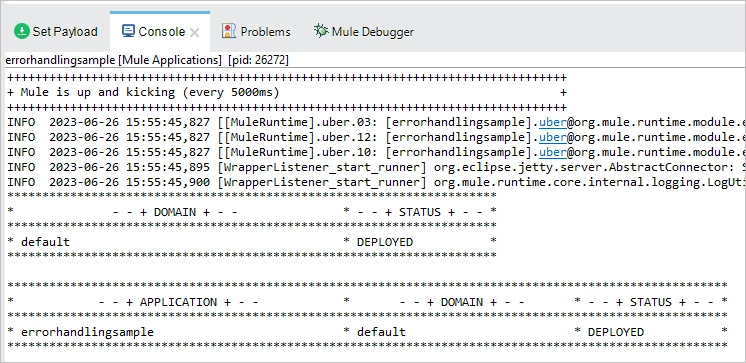 internal error handlers in Mule application