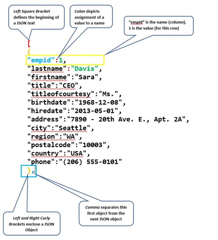  Basic Structure of a JSON Document
