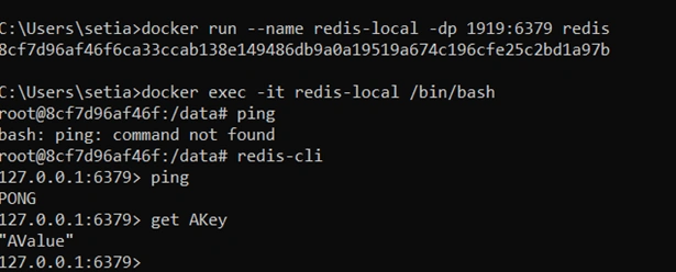 Beginners Journey To Docker Redis Image In .NET