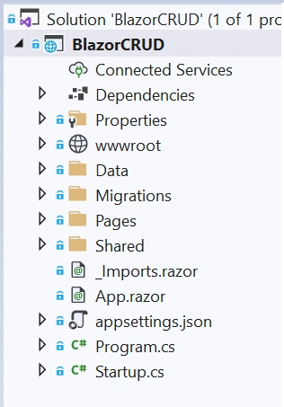 Blazor Server App CRUD With Entity Framework Core In .Net 5