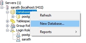  New database