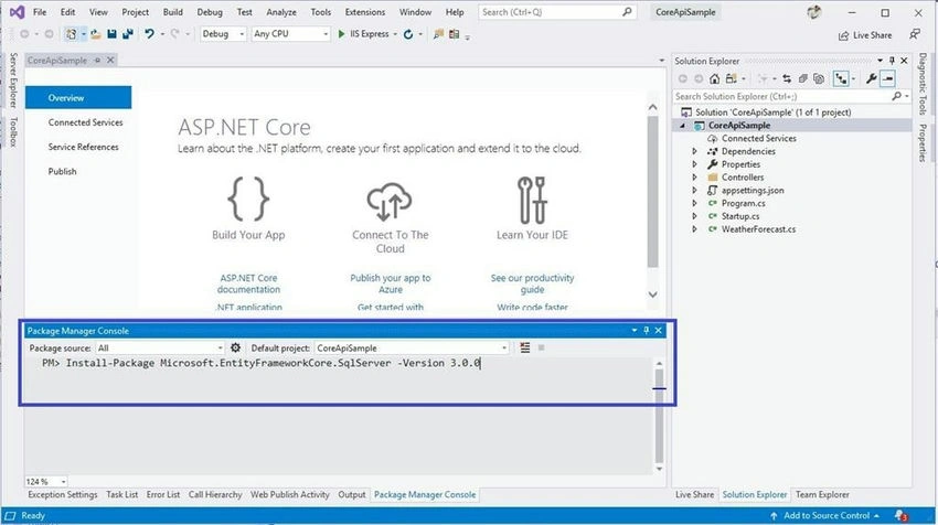 Package Manager console