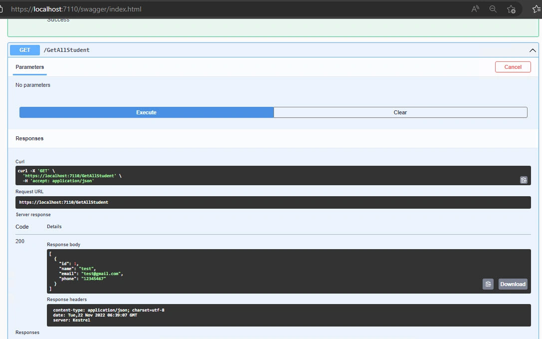 Build Minimal APIs in .NET 7 Using Entity Framework Core 7