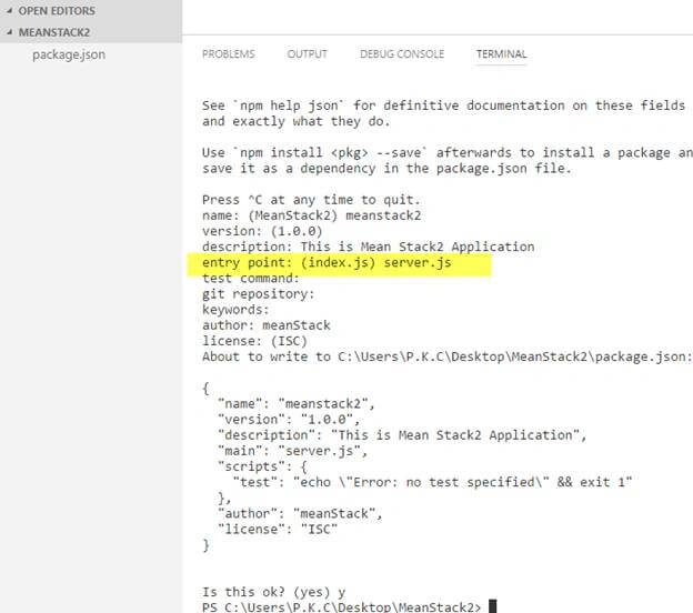 Package.json