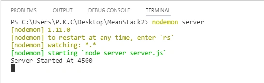 nodemon sever